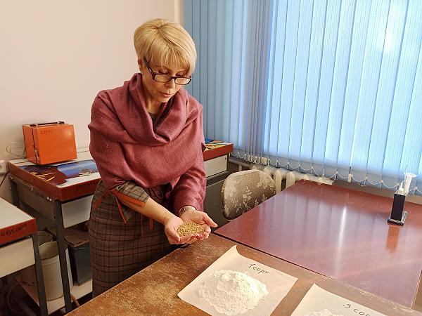 Директор ДВНИИСХ Т.А. Асеева рассказала о преимуществах нового сорта пшеницы