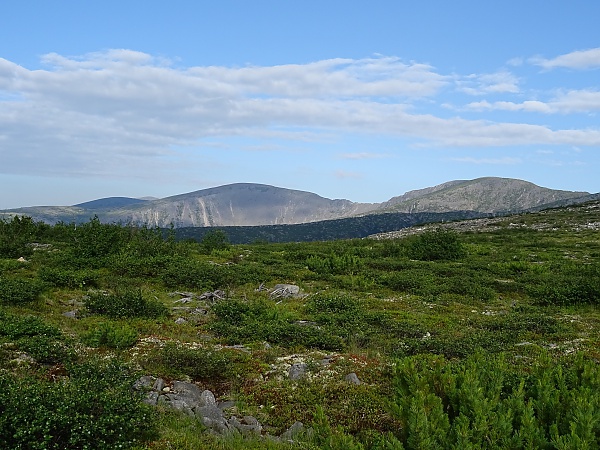 Буреинский заповедник