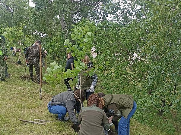 В акции «Марафон зелёных дел» приняли участие хабаровские ученые, общественники, педагоги 
и руководители предприятий