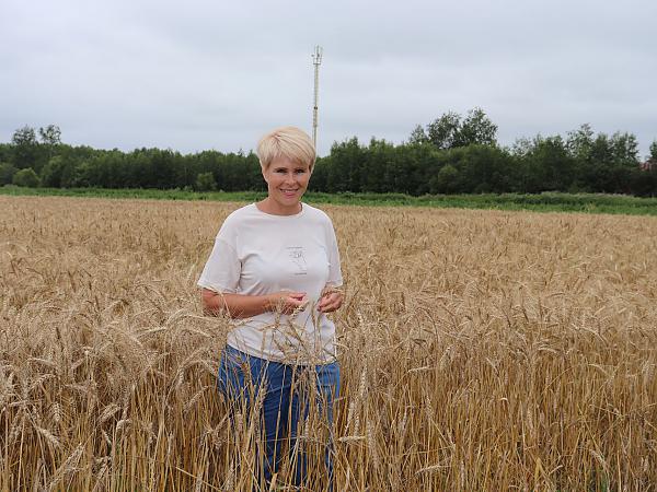 Т.А. Асеева в посевах яровой пшеницы сорта Анфея